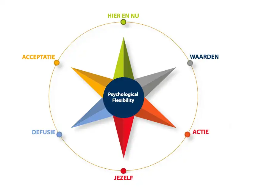 UFIND | De 6 pijlers Acceptance en commitment theory UFIND | De 6 pijlers Acceptance en commitment theory